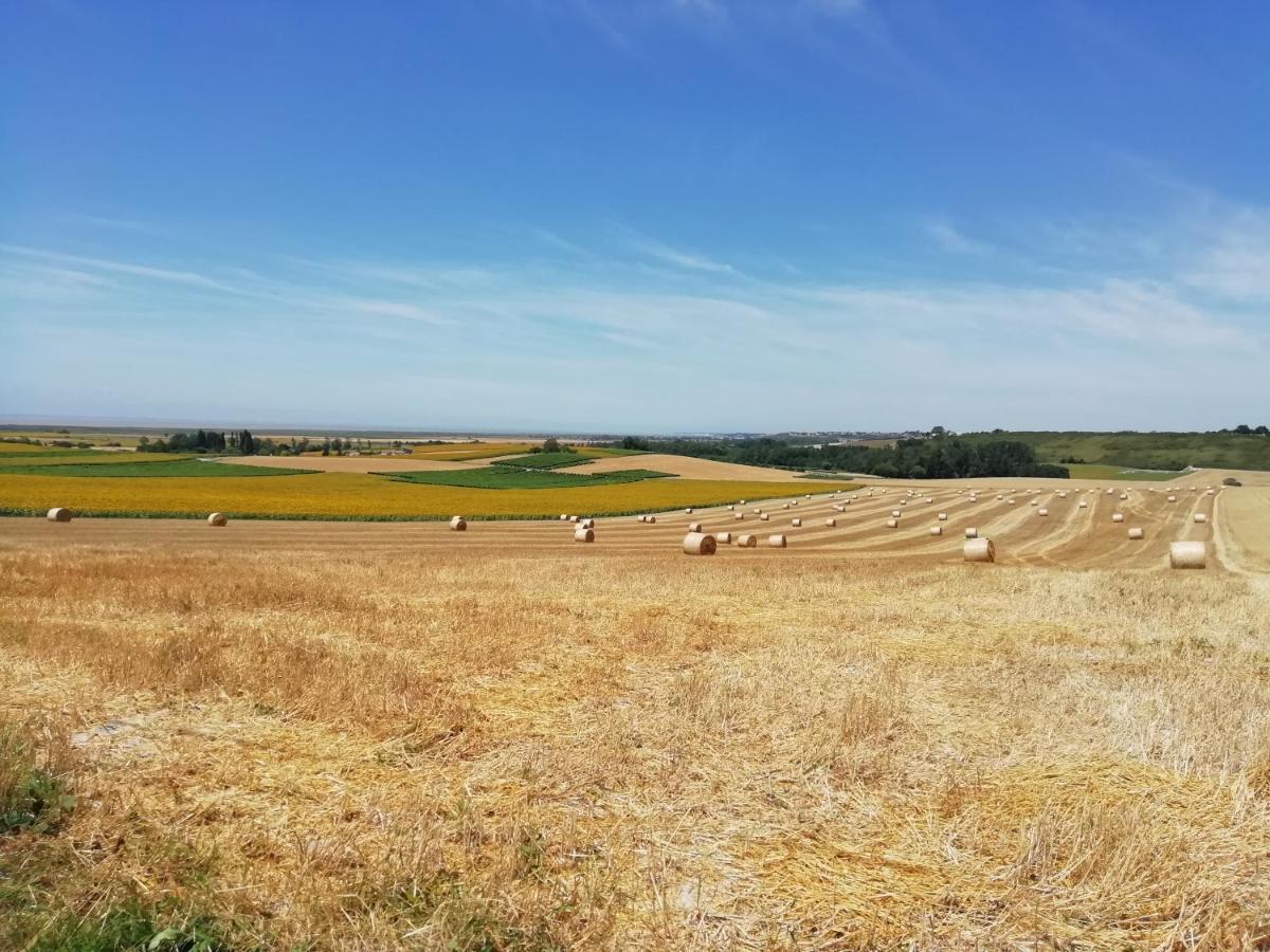 Chateau Des Salles Saint-Fort-sur-Gironde Esterno foto