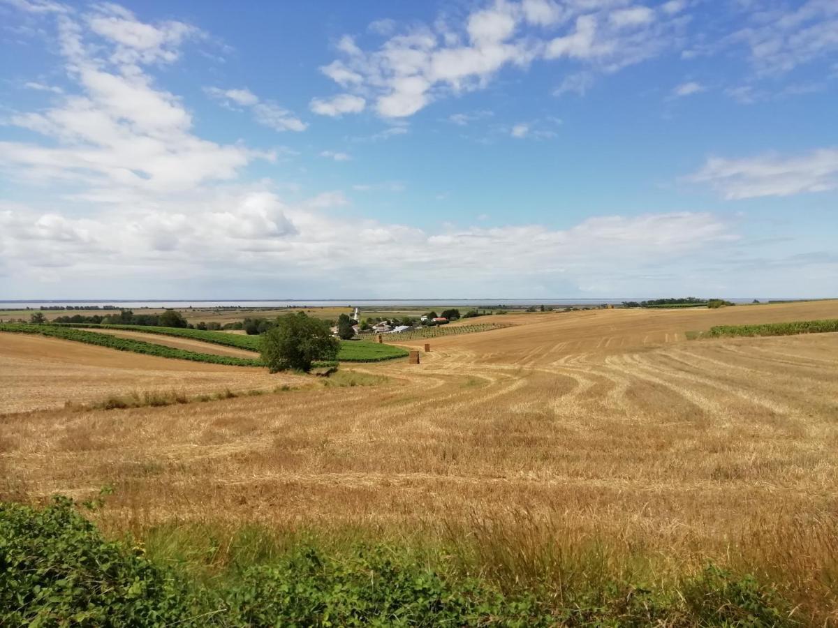 Chateau Des Salles Saint-Fort-sur-Gironde Esterno foto