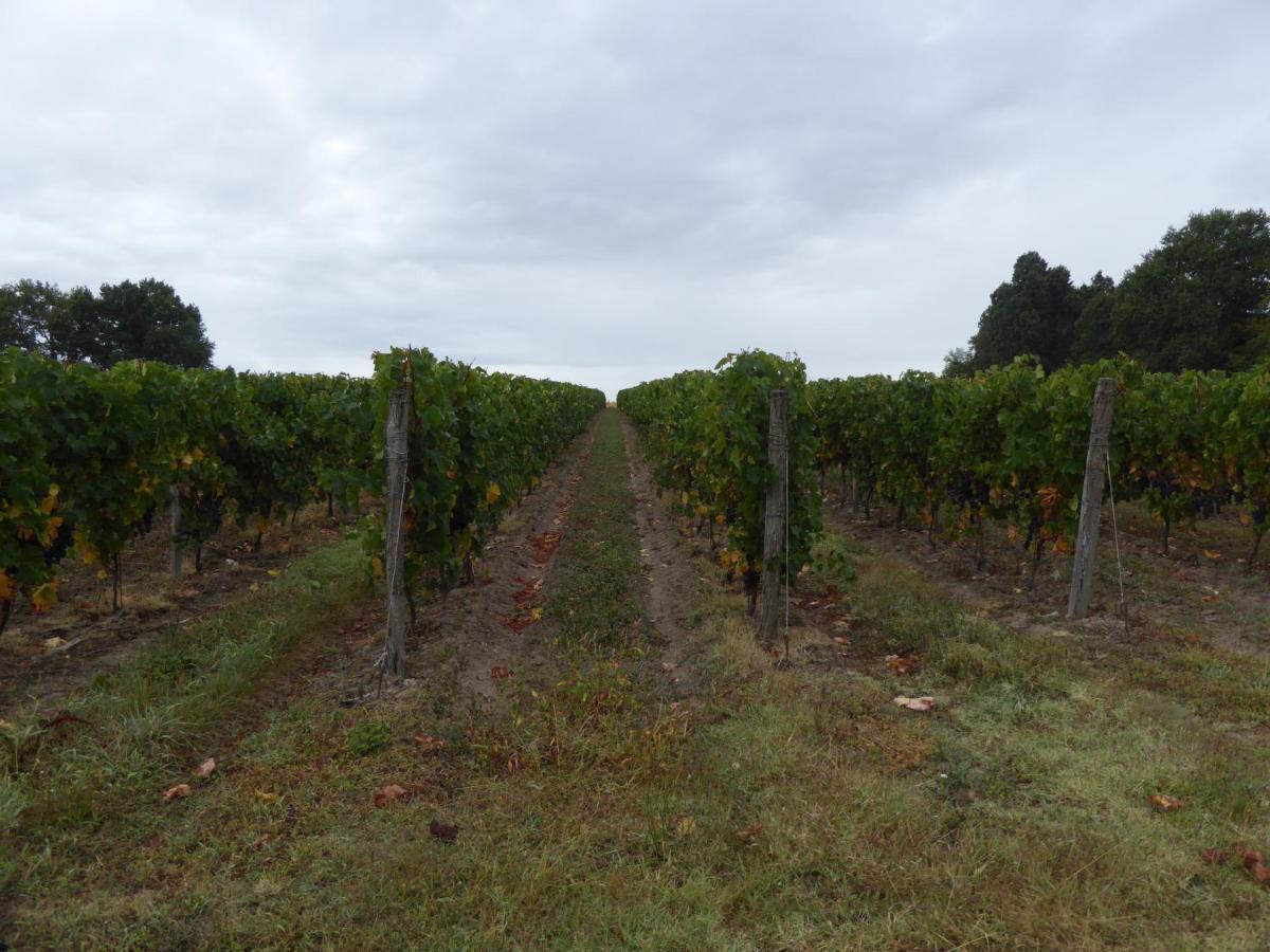 Chateau Des Salles Saint-Fort-sur-Gironde Esterno foto