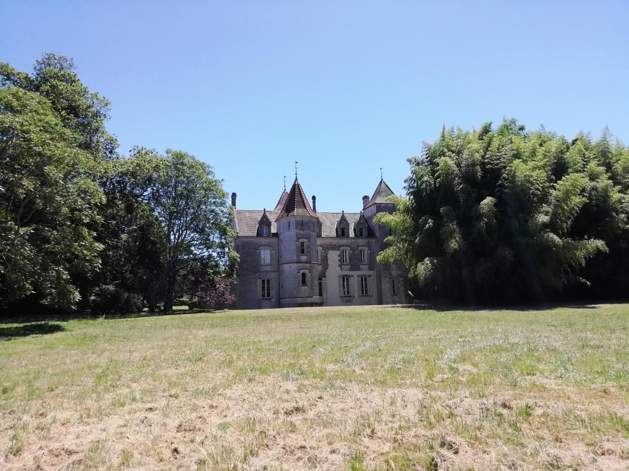 Chateau Des Salles Saint-Fort-sur-Gironde Esterno foto