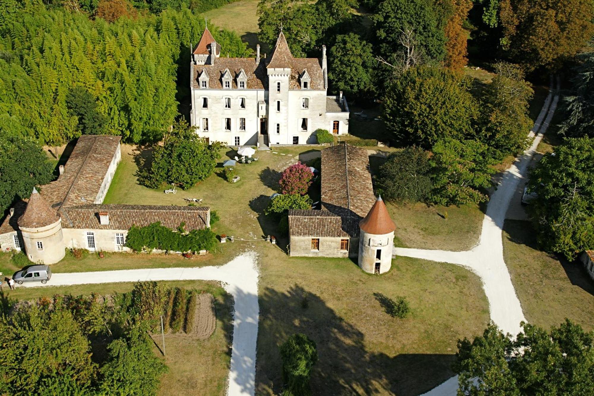 Chateau Des Salles Saint-Fort-sur-Gironde Esterno foto