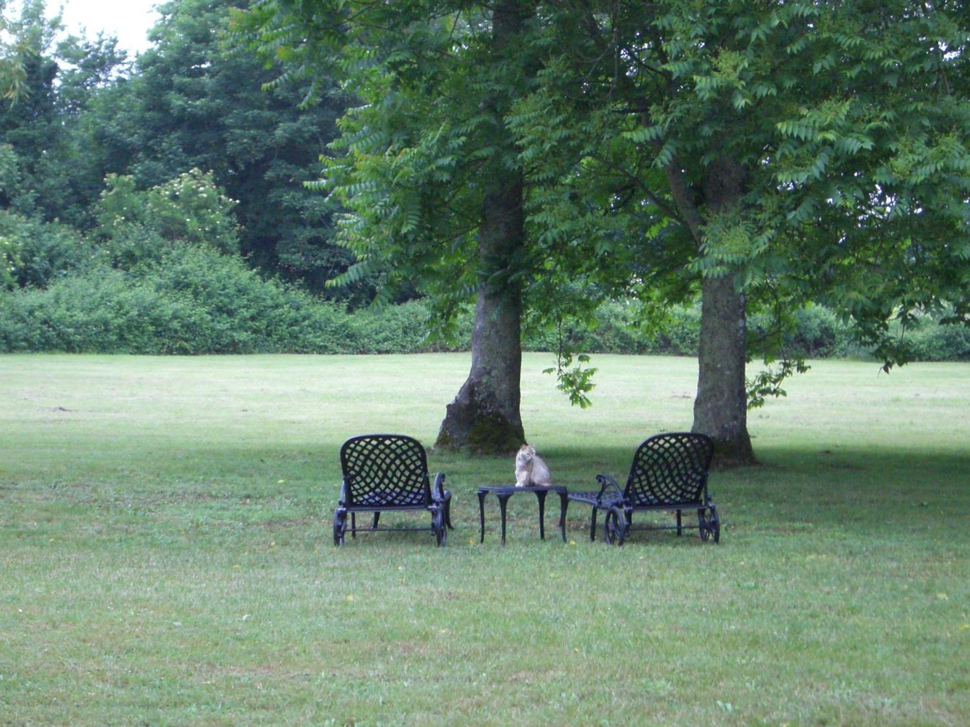 Chateau Des Salles Saint-Fort-sur-Gironde Esterno foto