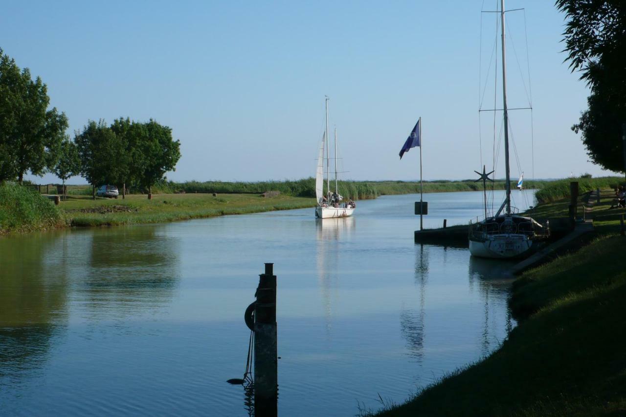 Chateau Des Salles Saint-Fort-sur-Gironde Esterno foto